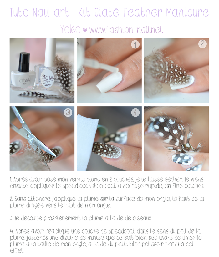 Tutoriel-Ciate-Plumes.PNG