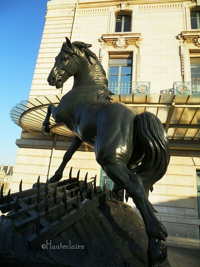 statue-animale-1.jpg