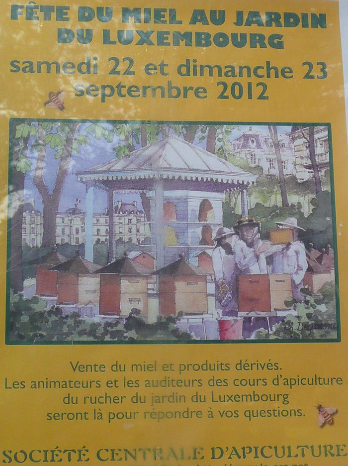 ruches du jardin du luxembourg2