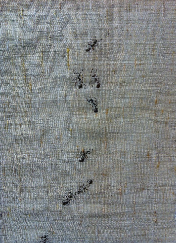 broderie fourmi