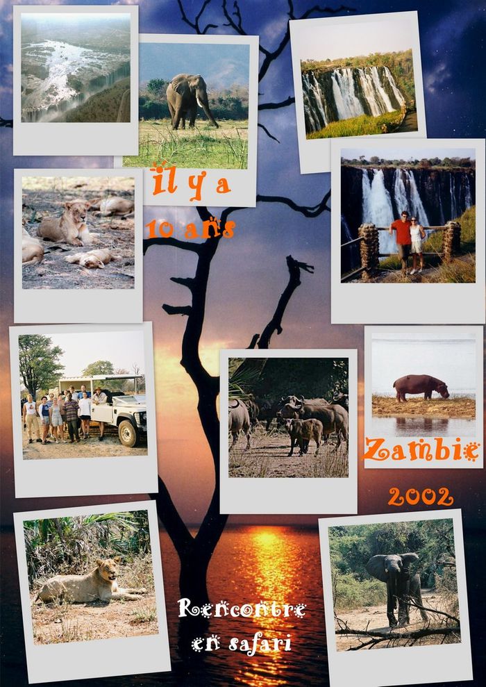 Zambie-2002-blog.jpg