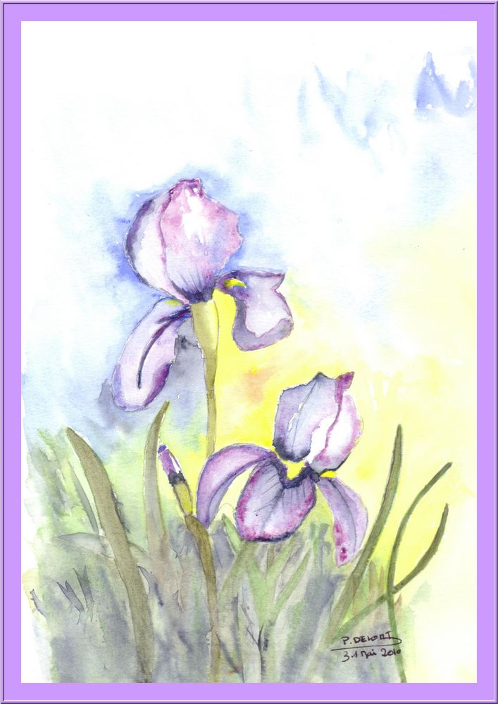 2010 05 31 Aquarelle Iris
