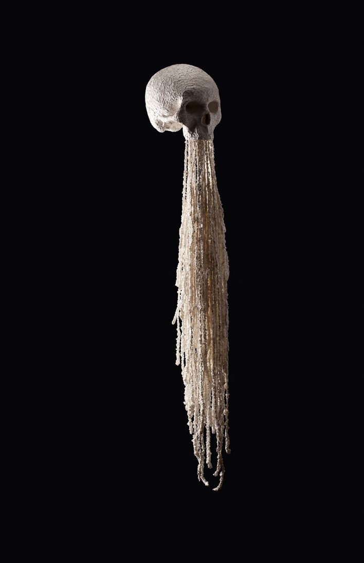 Jim-SKULL-.09.jpg
