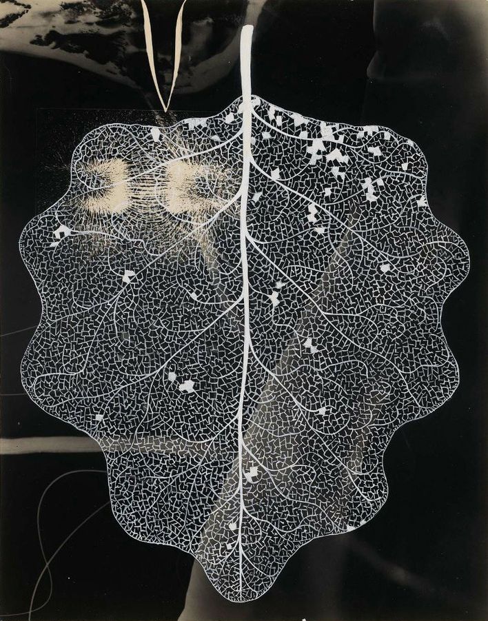 Gyorgy-Kepes7_905.jpg