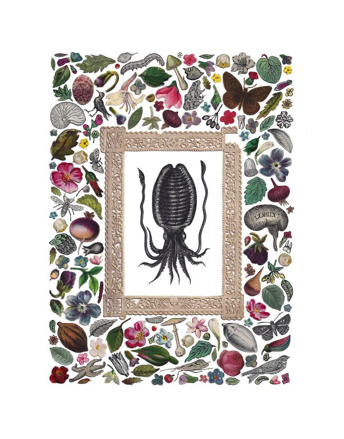 ADRIENNE-SLANE-Cephalopoda_o.jpg