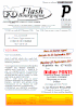 Flash 0911-1