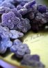violettes-en-sucre.jpg