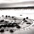 Bretagne en noir et blanc