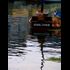 Les bateaux