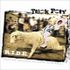 trick pony - ride