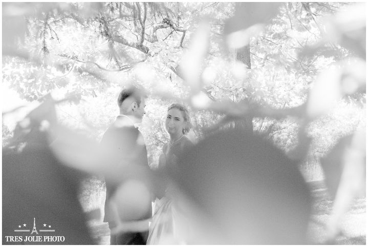 Milwaukee photographer wedding