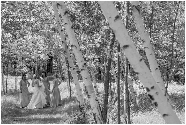 Milwaukee photographer wedding