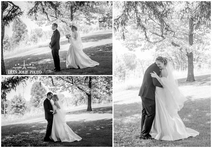 Milwaukee photographer wedding