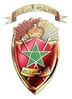 Moroccan Auxiliary Forces