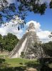 2292---Nids-et-pyramide-Tikal.jpg