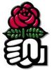 rose socialiste