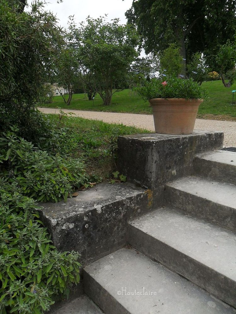 escalier-1.jpg