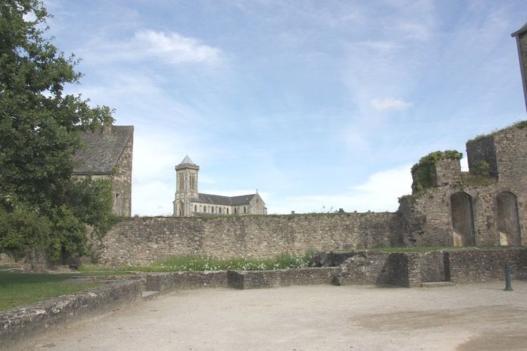 Divers-tout-tout-117-border.jpg