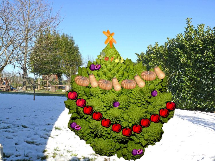 sapin noel chou copie