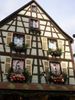 Kaysersberg16