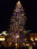 Strasbourg25