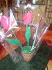 pot-tulipes-2011.jpg