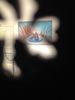 photo--4--copie-2.JPG