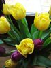 DSCF2809