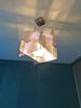 DSC00557.jpg