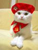 chat-communiste