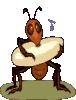 insectes-fourmis-00036