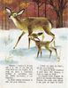 Joyeux-Noel-des-animaux 1966 page010