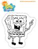 Bob-20.jpg