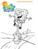 Bob-27.jpg