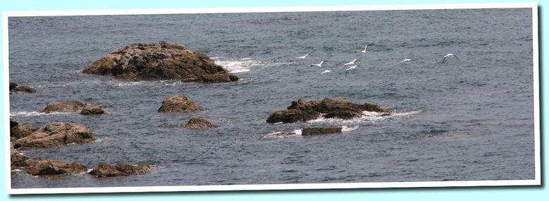 paysage10
