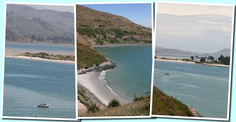 otago3