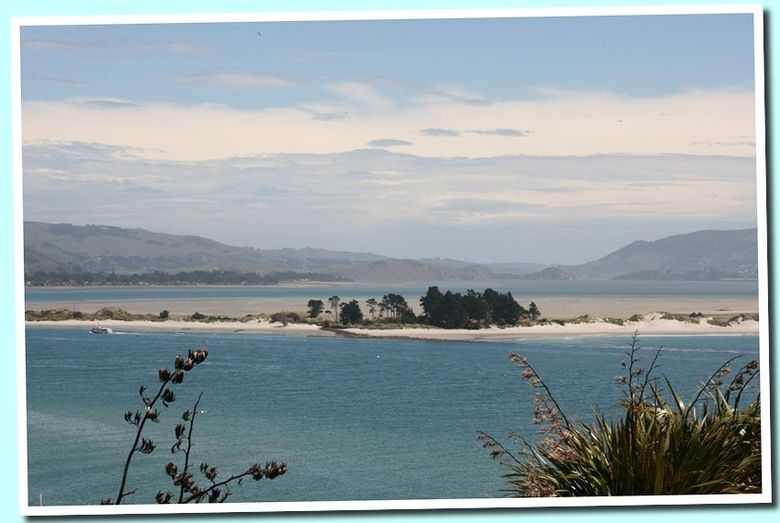otago5