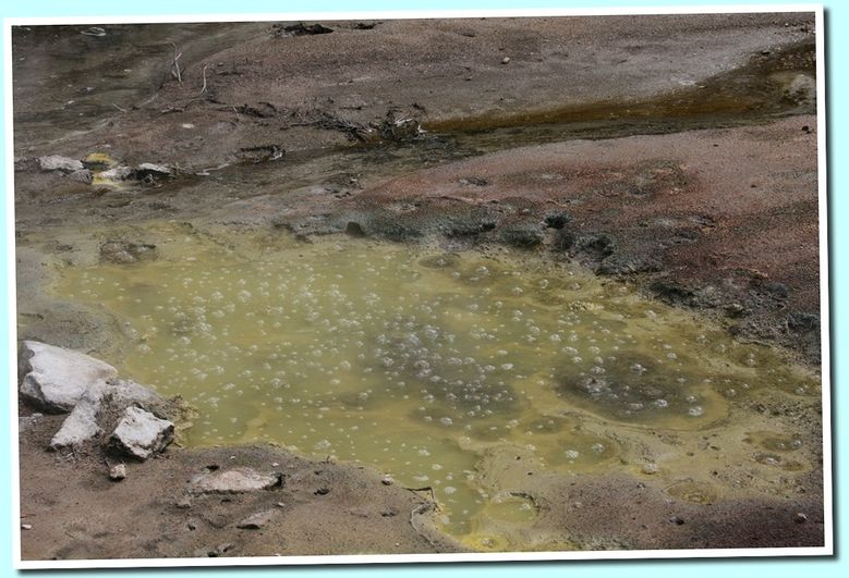 eau4