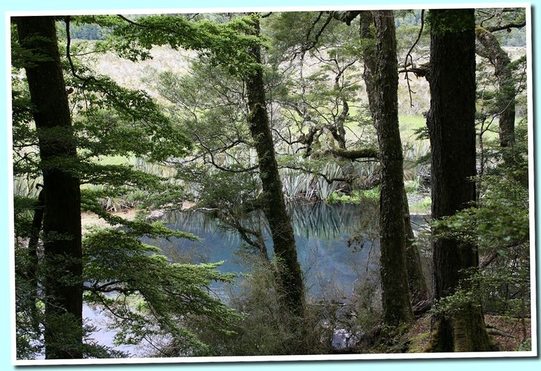 mirorlake1