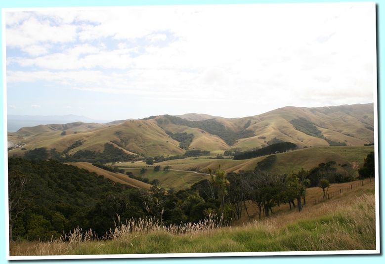 paysage3