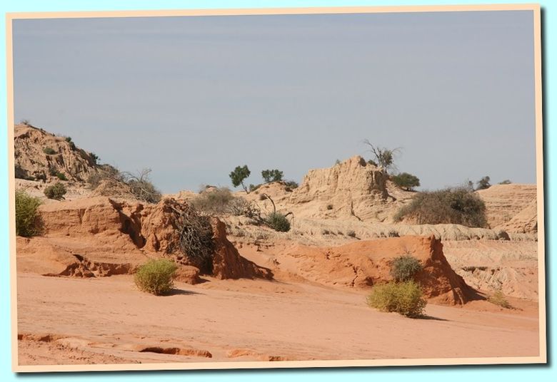 mungo2