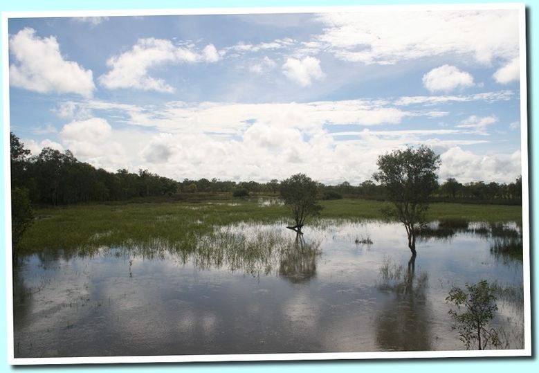 lac1
