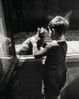 willy-ronis-the-caretakers-cat 1259760512 thumbnail