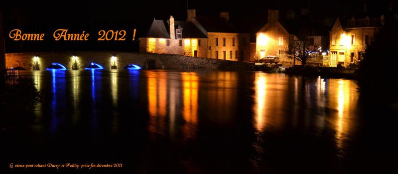 bonne ann-e 2012 -1-