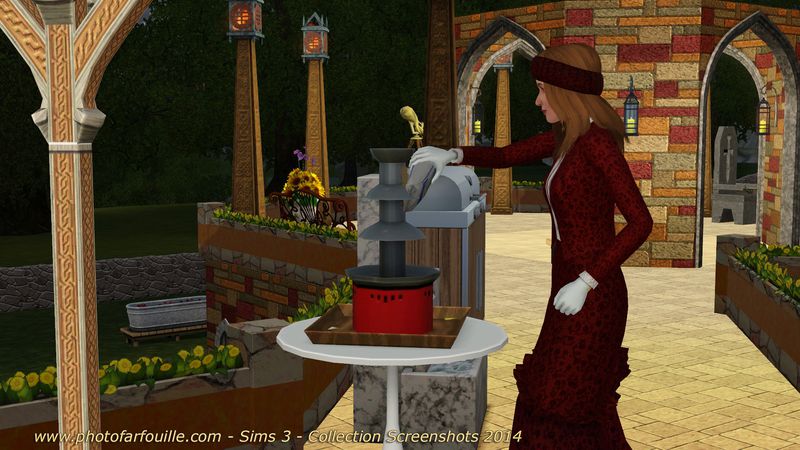 meme sims 3 fontaine chocolat