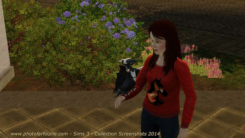 Screenshot Sims