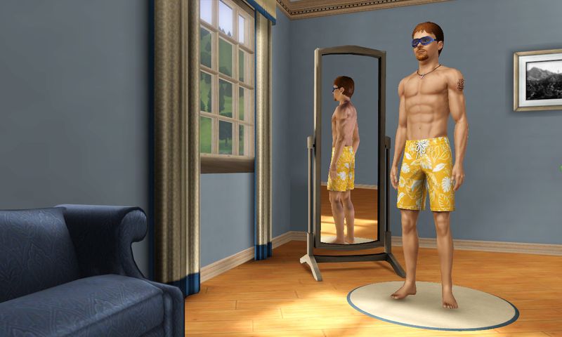 capture ecran jeu sims 3