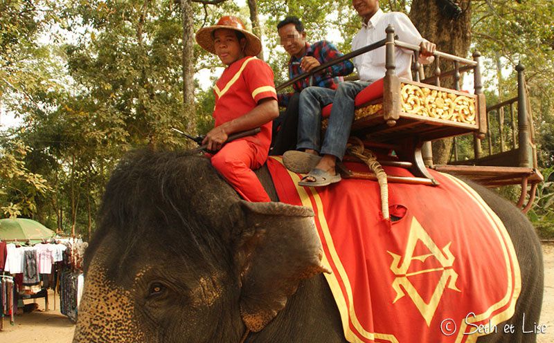 blog voyage promenade elephant thailande asie phajaan