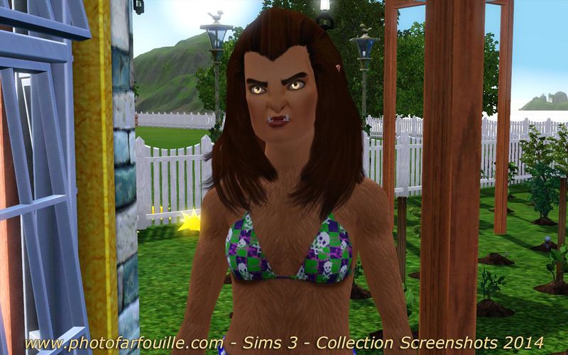 Sims 3 Fouiller les poubelles