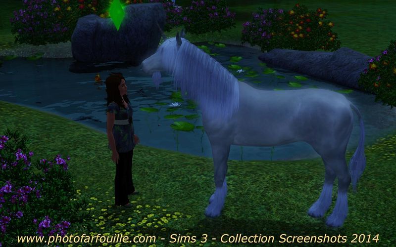 Sims 3 la Licorne